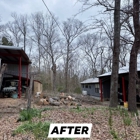 Wilson Fellers Tree Service