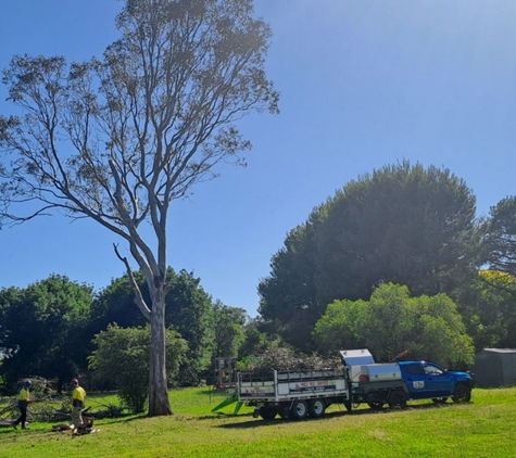 Phil's Tree Service - Cootamundra, NSW