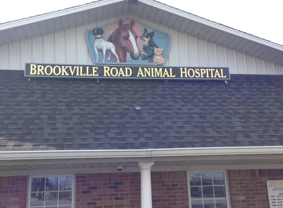 Brookville Road Animal Hospital - Indianapolis, IN
