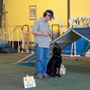 Greater Lincoln Obedience Club - Pet Training
