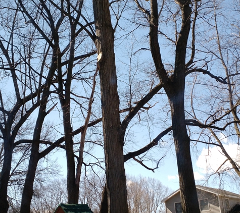 J  & B Professional Tree Service Inc