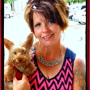 Red River Kennels - Yorkies - Pet Breeders