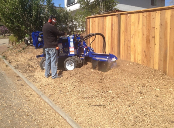 Timberland Tree Care - Concord, CA