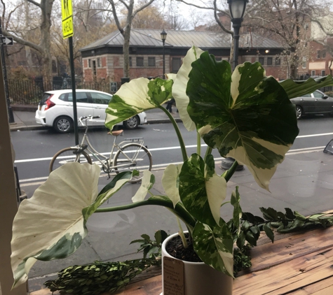 Planted Community Cafe - Brooklyn, NY