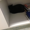 Dutch Fork Animal Hospital gallery