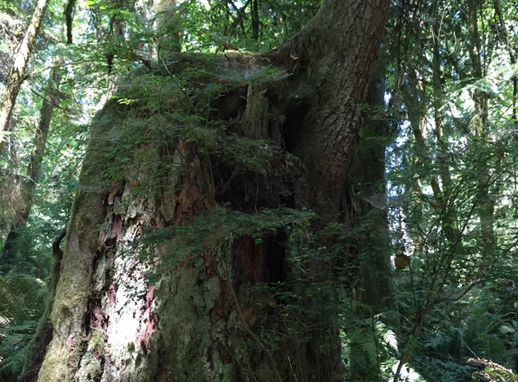 Bloedel Reserve - Bainbridge Island, WA