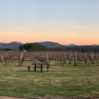 Afton Mountain Vineyards