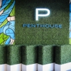 Penthouse Pool & Lounge gallery