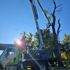 Friendly Tree Service Inc