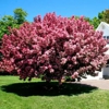 Holiday Farms gallery