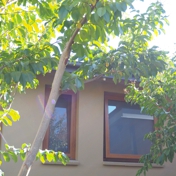 Gallery Image Number 1