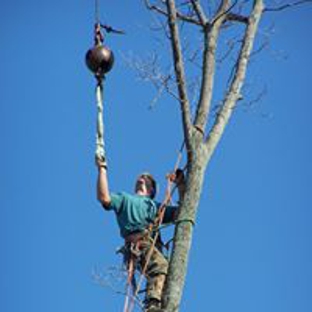 Quinlan Tree Service - Milford, MI. Quinlan Tree Service Crane work, tree removal.
