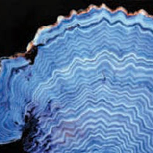 Australian Institute Of Marine Science - After Hours-