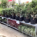 Tractor Supply Co - Garden Centers