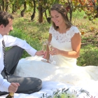 Honah Lee Vineyard