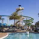 Gaylord Palms Resort & Convention Center - Resorts