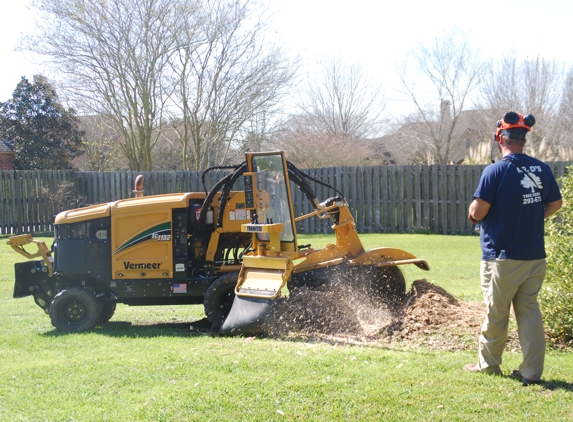 D's Tree & Stump Removal Mr - Baton Rouge, LA