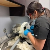 St. John Dental Assistant School gallery