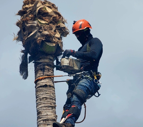 Full Tree Services - Davie, FL