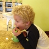 Yogurt VI gallery