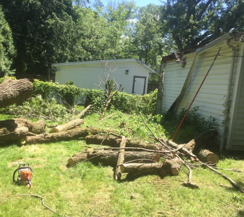 Secrist Tree Service