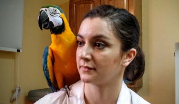 Tender Touch Veterinary Hospital - Wexford, PA. Dr. Brandi Cox - Canine, Feline, Avian, Small Mammals & Exotics