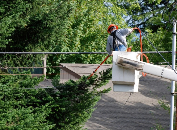 Woodstock Tree and Stump Removal - Coldstream, VIC