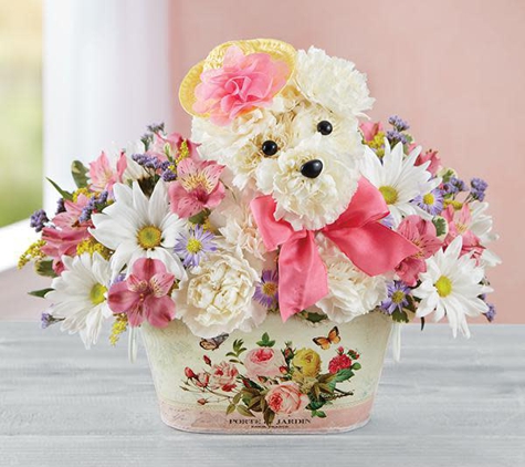 Bella'S Design Studio Flowers And Gifts - Colorado Springs, CO