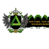 NY/NJ Wildlife Removal, Inc gallery