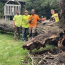 Tomax Tree Service - Tree Service