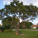 Community Tree & Landscape Service, Inc - Arborists