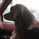 Pampered Pooch - Dog & Cat Grooming & Supplies