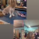 Kritter Kreations - Pet Services