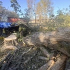 Robinson Tree Service