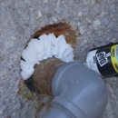 Truly Nolen Pest and Termite Control Grove City - Pest Control Services