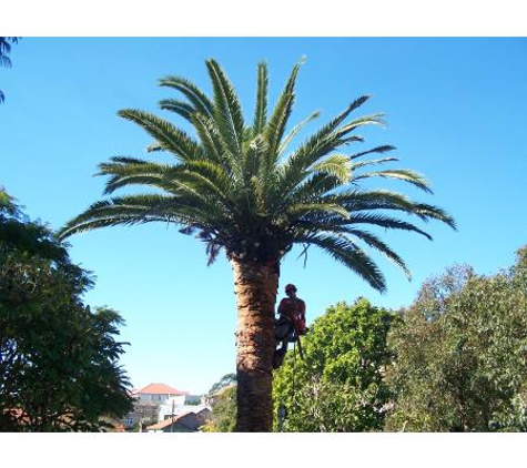All Coast Tree Services - West Wollongong, NSW