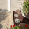 Pipe-Thru Trenchless Plumbing gallery