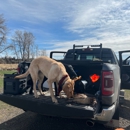 Cooke Canyon Hunt Club - Dog Training