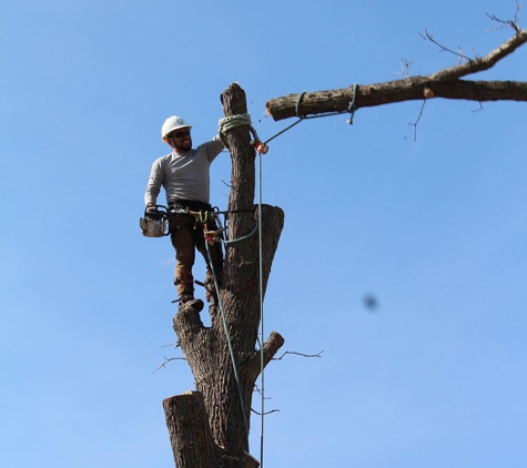 Cisneros Tree Service - Omaha, NE