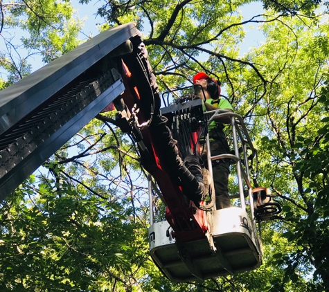 Huff's Tree Service - Wichita, KS