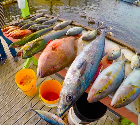 Safari I Deep Sea Fishing - Stuart, FL