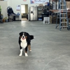 John Davis Heating & Air Inc gallery