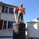 Schmitt Tree Service and Landscaping - Tree Service