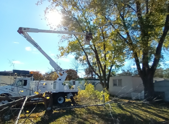 Above All Tree Service and Hauling - Clio, MI