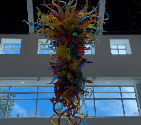 Virginia Museum of Contemporary Art - Virginia Beach, VA