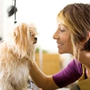 Because We Care Dog & Cat Grooming - Pet Grooming