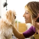 Because We Care Dog & Cat Grooming