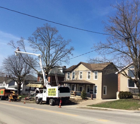 New View Tree Service - Blairsville, PA