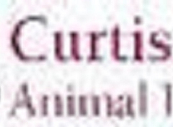 Curtis Road Animal Hospital - Savoy, IL