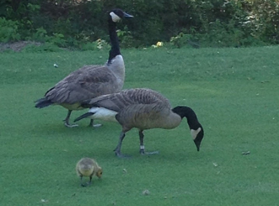 Stone Mountain Golf Club - Stone Mountain, GA